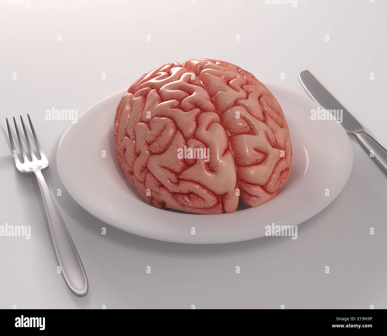 Brain in the dish. Feeding knowledge. Stock Photo