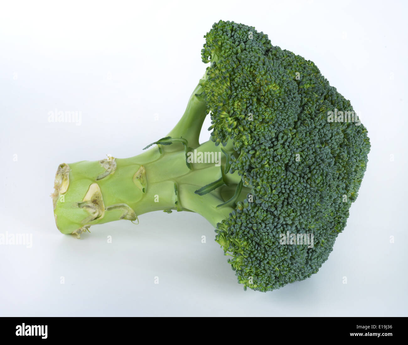 Broccoli Stock Photo