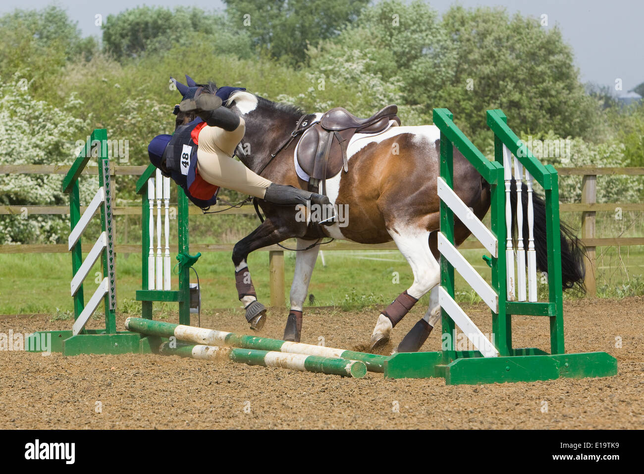 How To Stop My Horse From Throwing Her Head at Claudia Romero blog