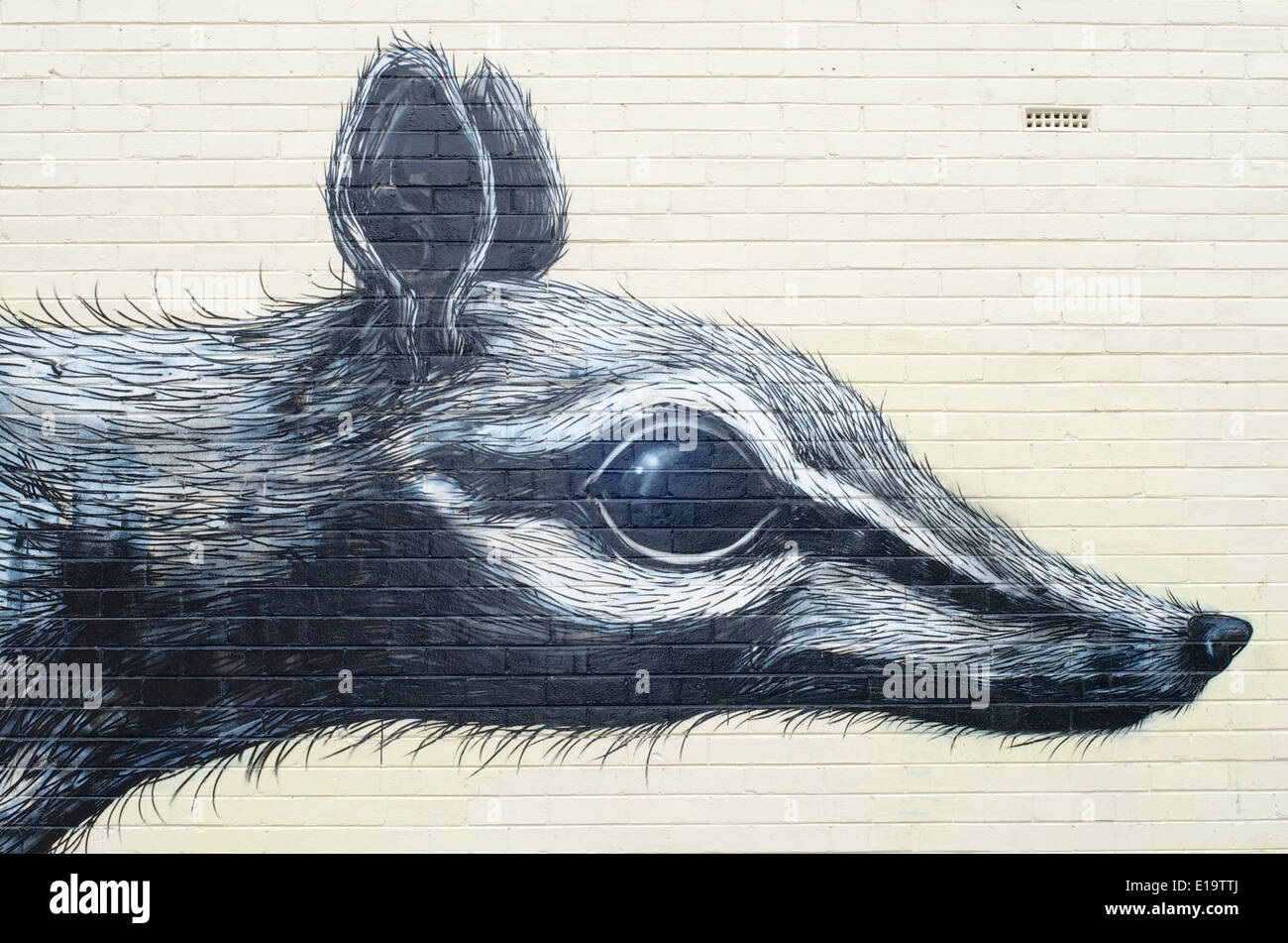 Legende Primitiv Decimal Numbat mural, Fremantle, Australia. A 25 metre numbat spray-painted on to a  wall in Henderson Street mall Stock Photo - Alamy