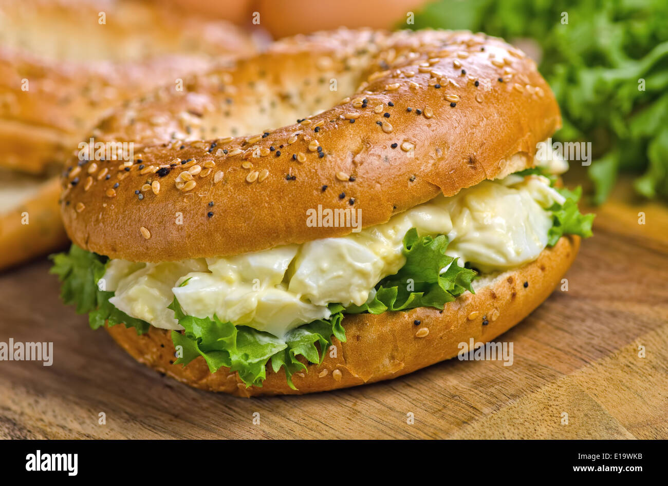 A toasted everything bagel with egg salad and lettuce. Stock Photo