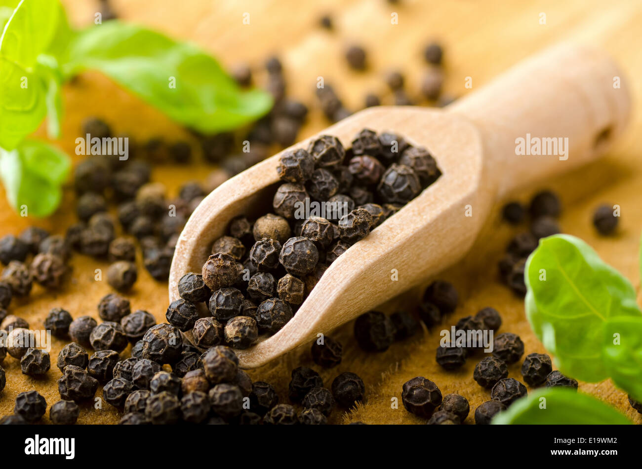 A scoop of whole black peppercorns against a wooden background. Stock Photo