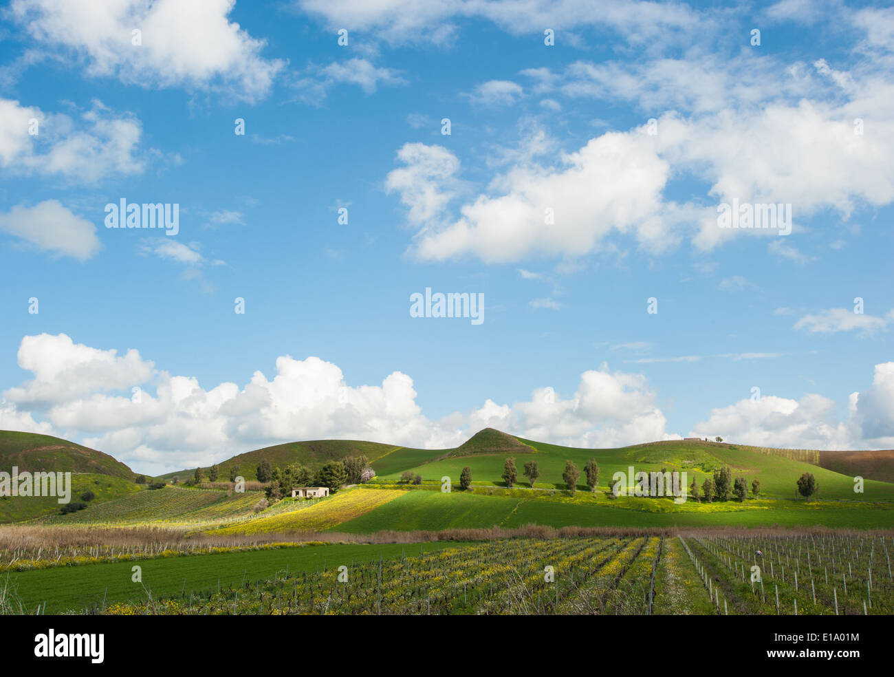 Flower rich landscape hi-res stock photography and images - Alamy
