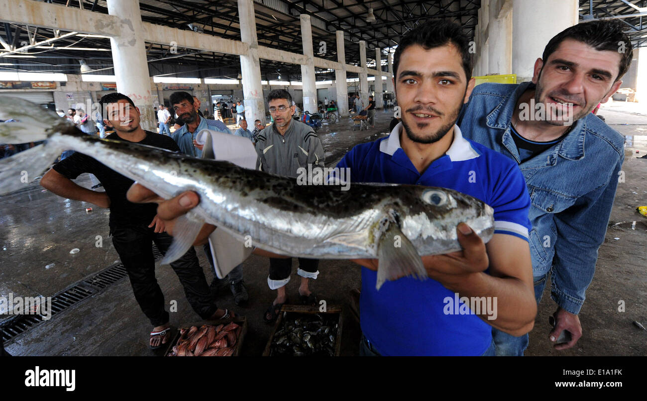 Lattakia, Syria. 26th May, 2014. Young men show their newly caught fish ...