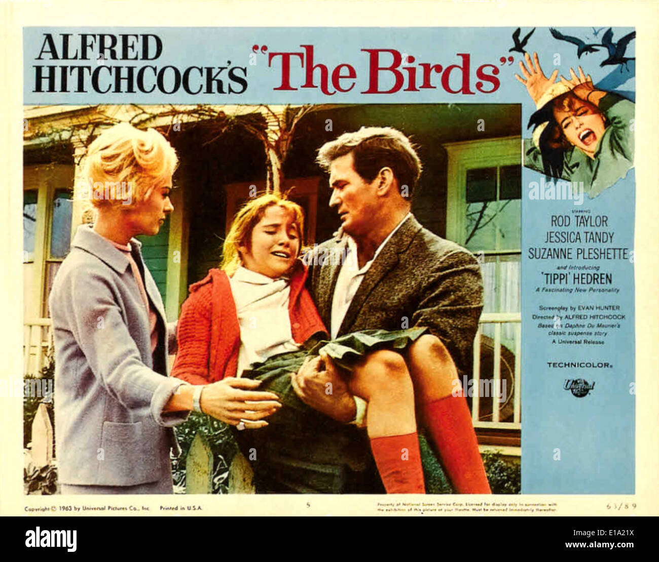 The birds - Movie Poster - Director : Alfred Hitchcock Stock Photo