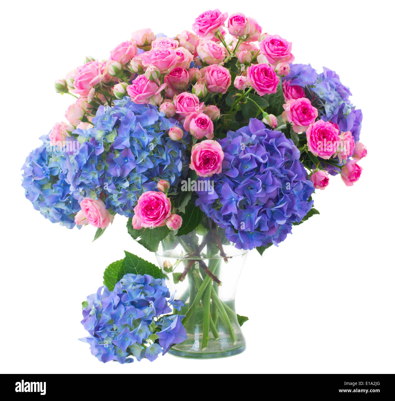 posy of pink roses and blue hortensia flowers close up Stock Photo - Alamy