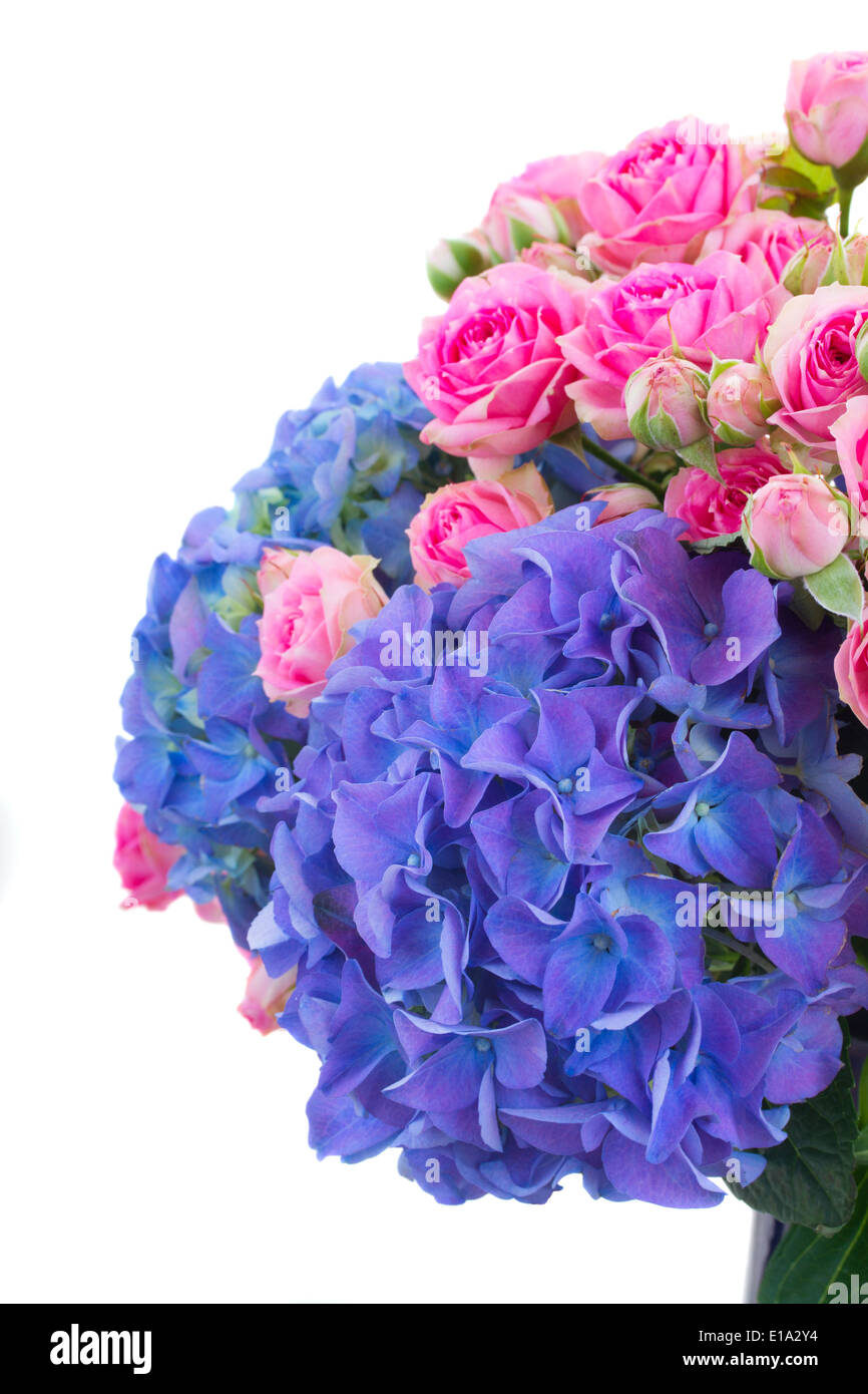 pink roses and blue hortensia flowers close up Stock Photo - Alamy