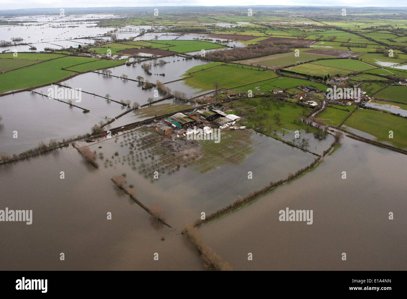 Aerial picture of the village of Burrowbridge, Somerset, surrounded by flood water. Stock Photo