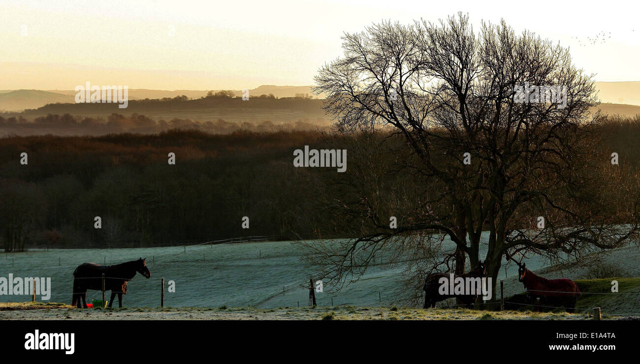 Weeks of grey skies and rain are replaced this morning with clear skies and sunshine. Stock Photo