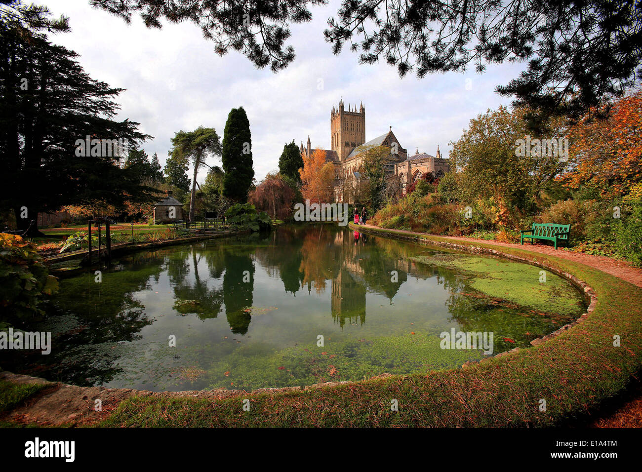 Wells Cathedral, Somerset. Stock Photo