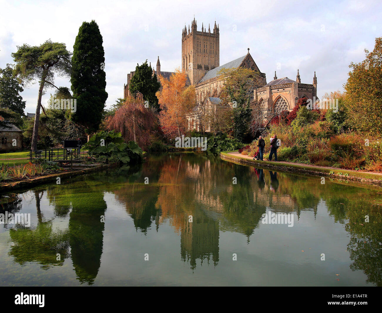 Wells Cathedral, Somerset. Stock Photo