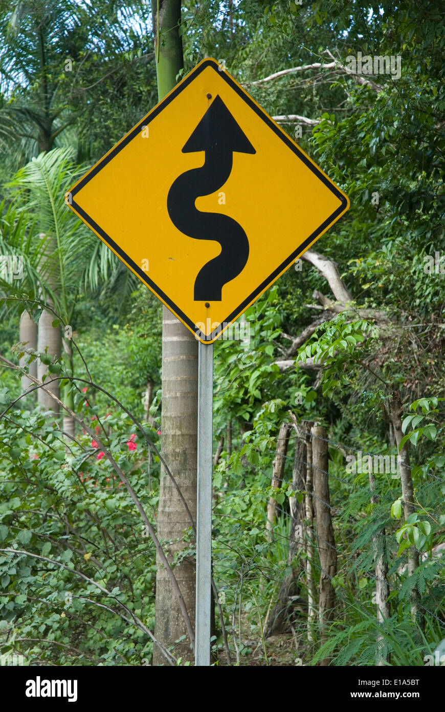 traffic sign for curvaceous street Stock Photo