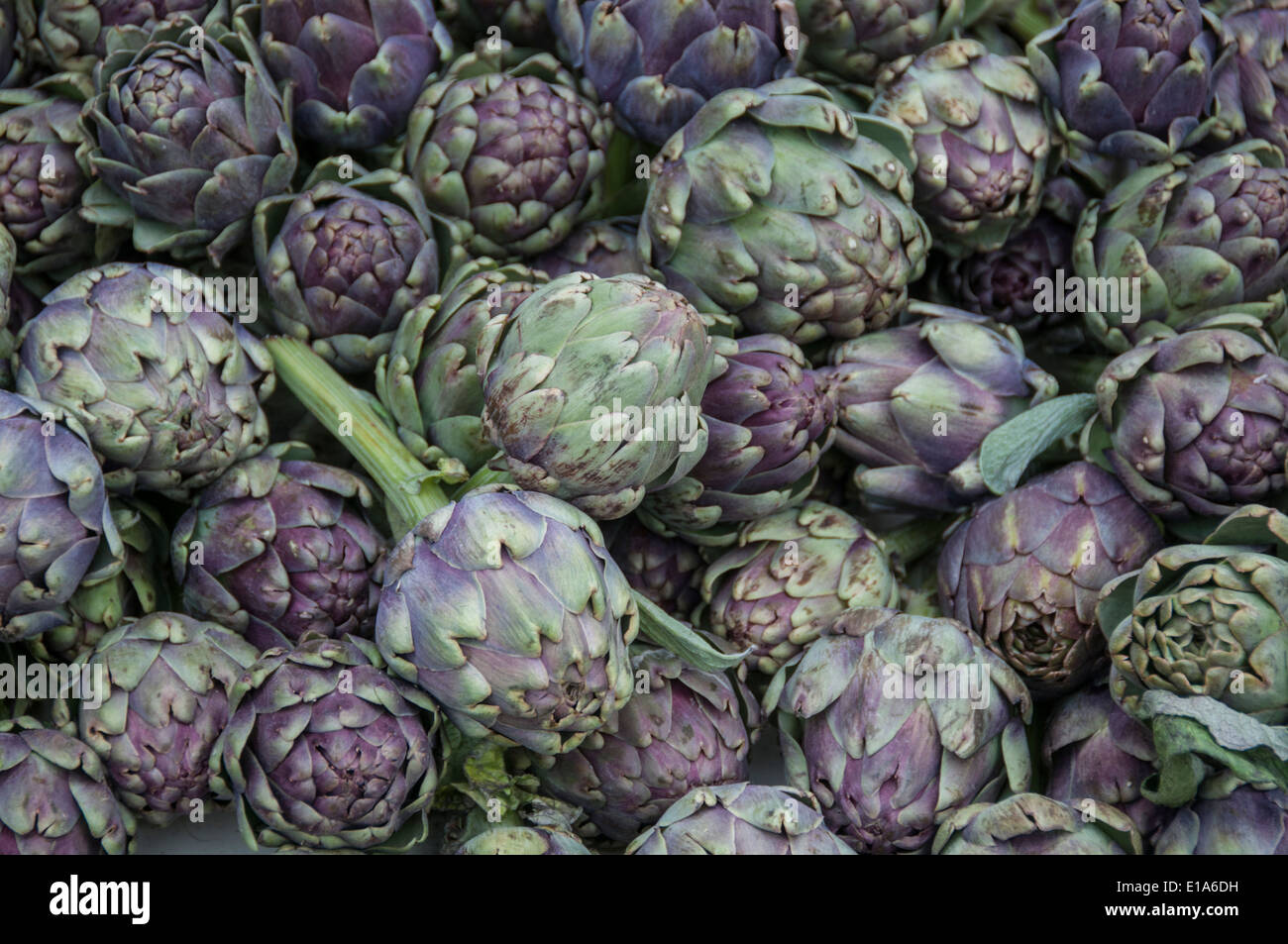 Artichokes in French market, Provence, France Stock Photo