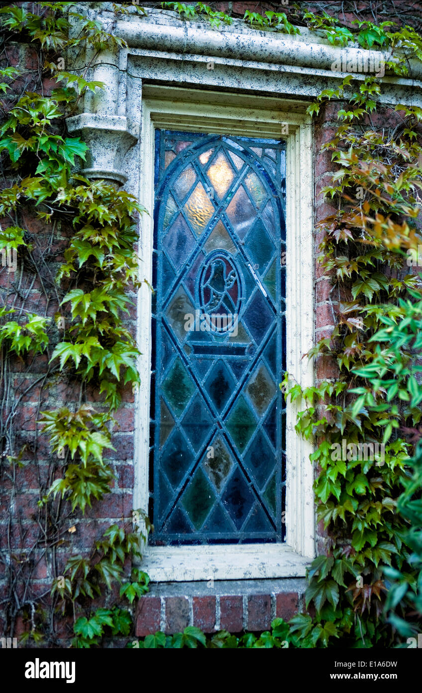 Old stained glass window on ivy covered church Stock Photo Alamy