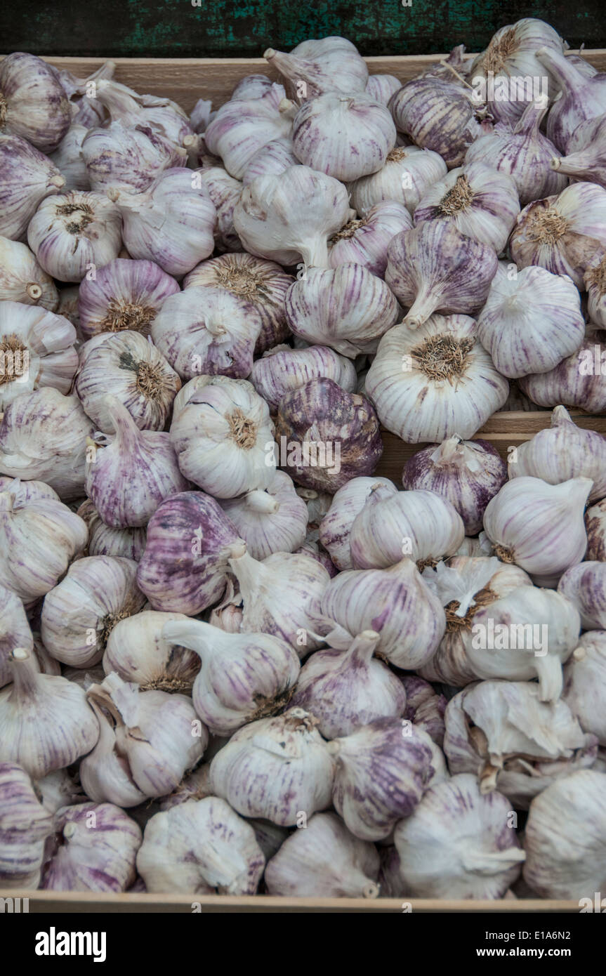 Garlic in French market, Provence, France Stock Photo Alamy