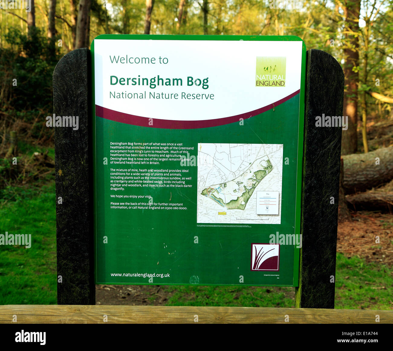 Dersingham Bog, Norfolk, entrance sign to nature reserve, Natural England site sites UK reserves Stock Photo