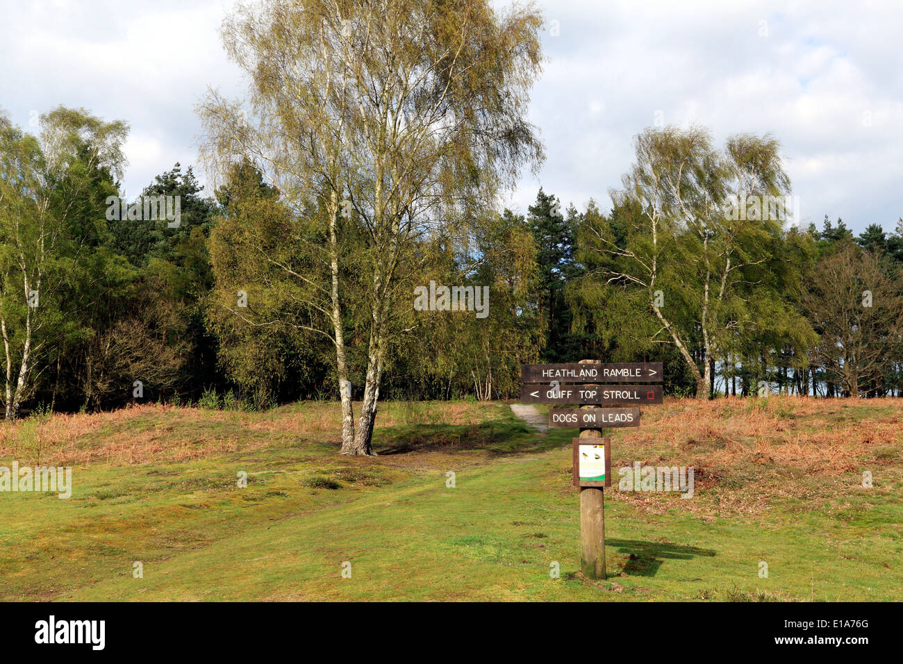 Dersingham Bog, Norfolk nature reserve, Natural England site sites UK reserves Stock Photo