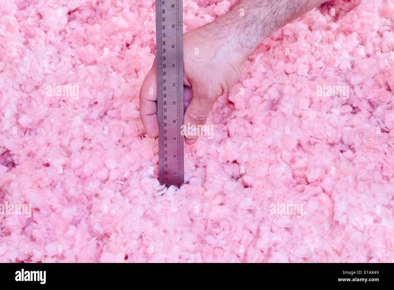 Homeowner checking the energy efficiency of their house by measuring the thickness of fiberglass insulation in the attic Stock Photo