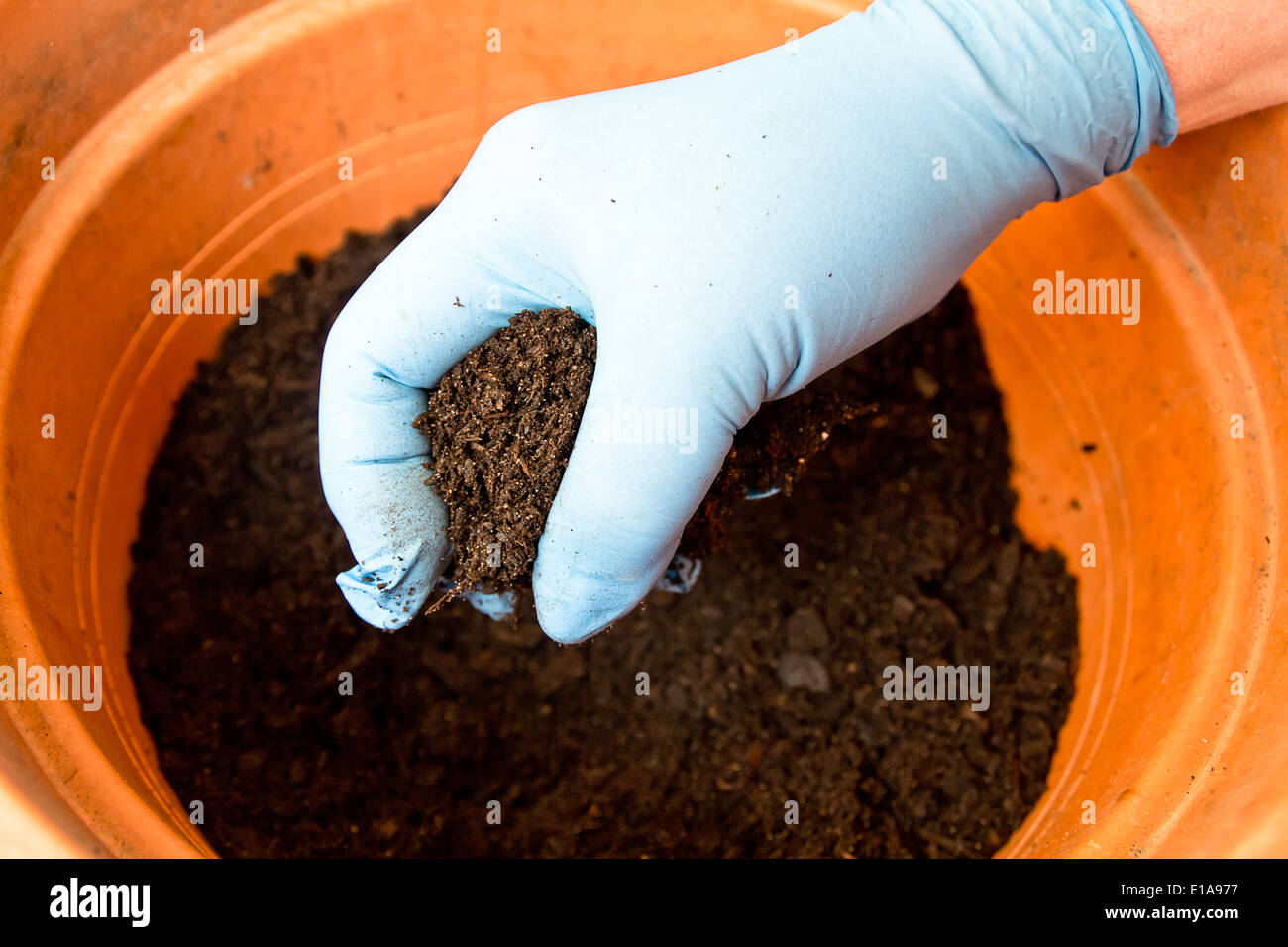 Какой должна быть почва для посадки. Подготовка грунта для цветов. Почва для комнатных растений. Почва в горшке. Земля для пересадки цветов.