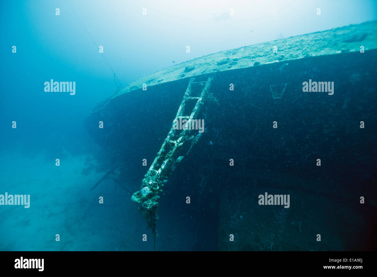 The Hilma Hooker is a shipwreck in Bonaire in the Caribbean Netherlands. It is a popular wreck diving site. Photo V.D. Stock Photo