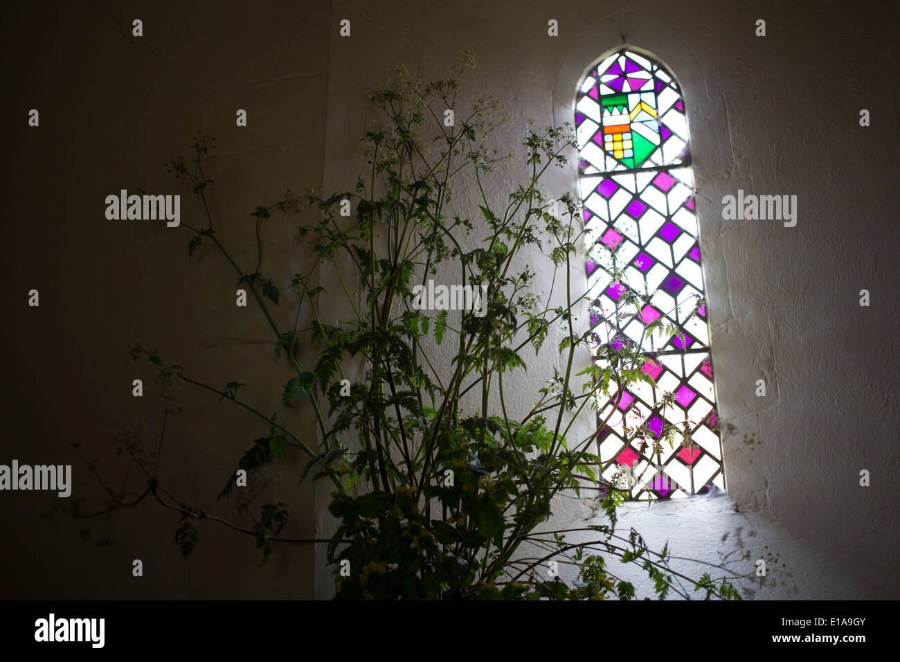 Stained glass window interior with flowers in St Bartholomew church in