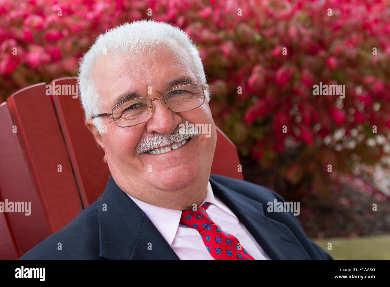 White hair senior businessman outside on a red chair smiling large at you Stock Photo