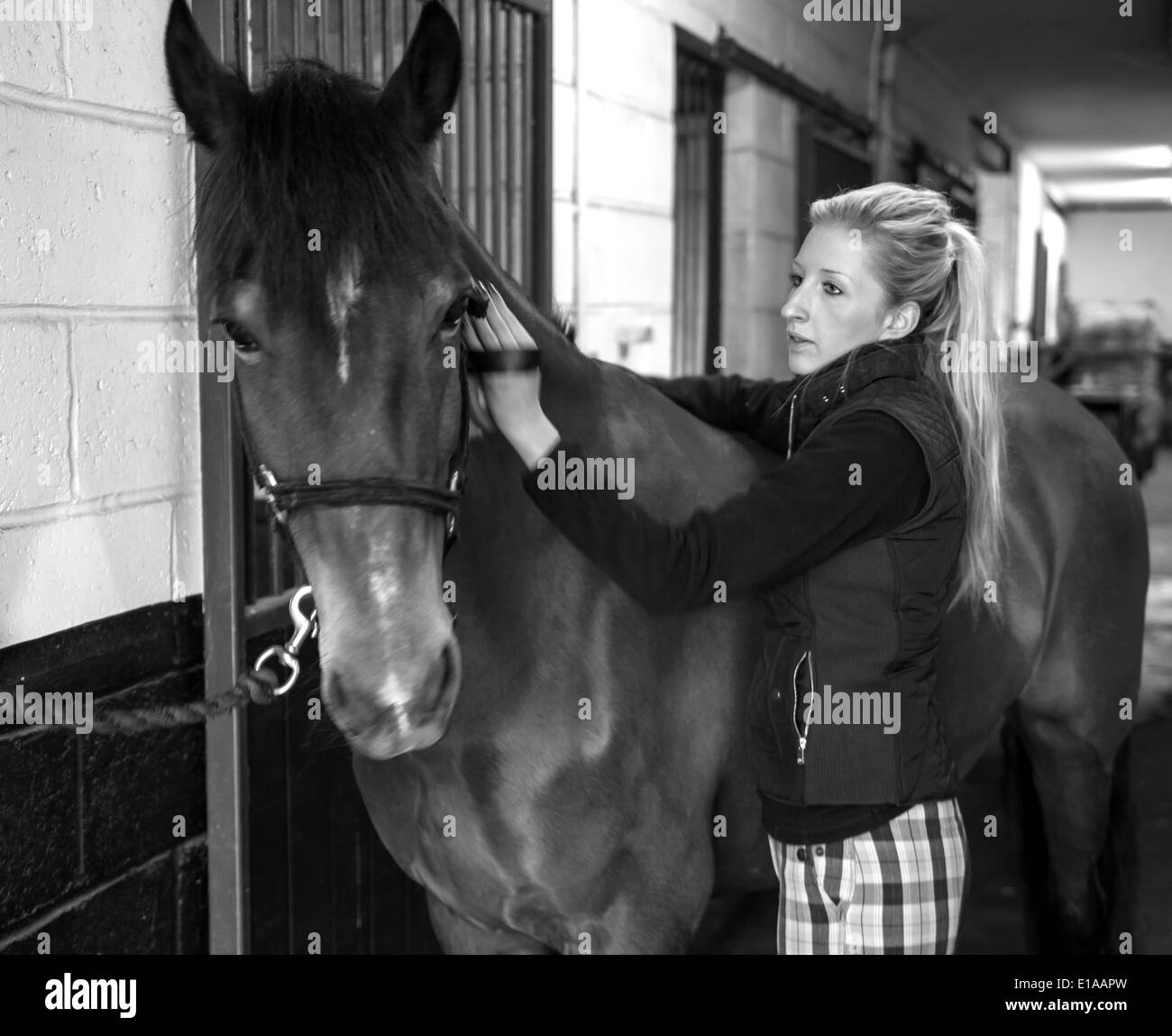 Woman grooming hires stock photography and images Alamy