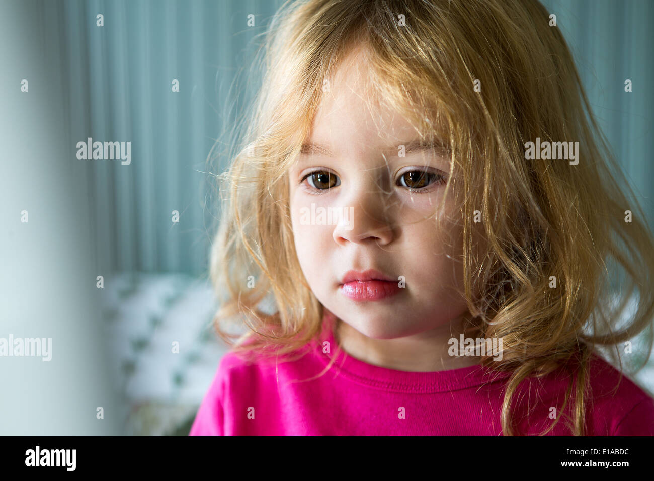 Young Toddler focused at computer monitor carefully perhaps watching YouTube Stock Photo