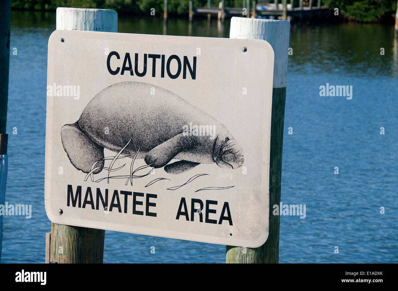 Caution manatee area sign hi-res stock photography and images - Alamy