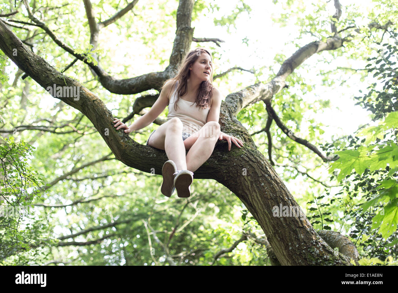 young female sitting in tree wearing white vest and shorts Stock Photo