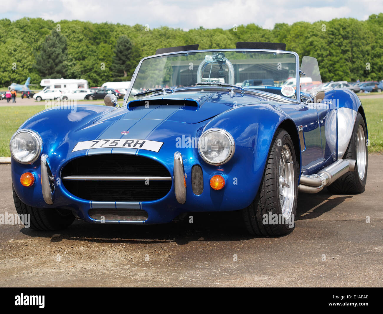 Cobra replicas hires stock photography and images Alamy
