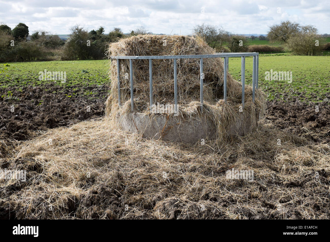 Horse Feed Station Stock Photo Alamy