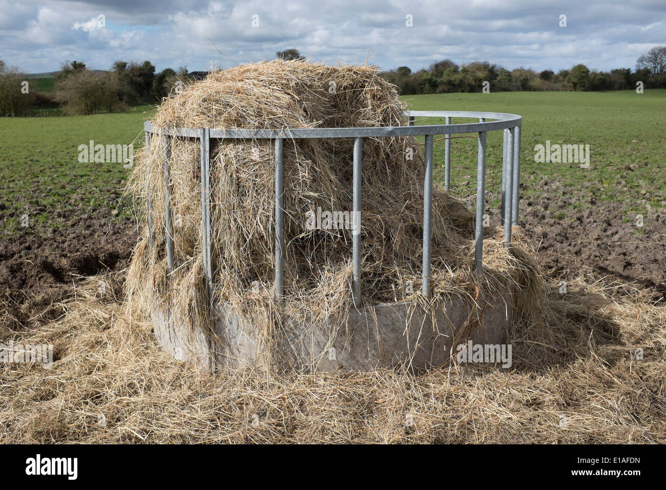 Horse Feed Station Stock Photo Alamy