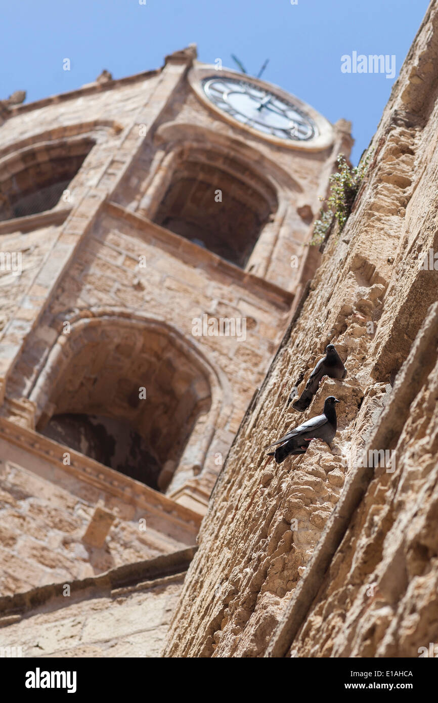 Pigeons in church hi-res stock photography and images - Alamy