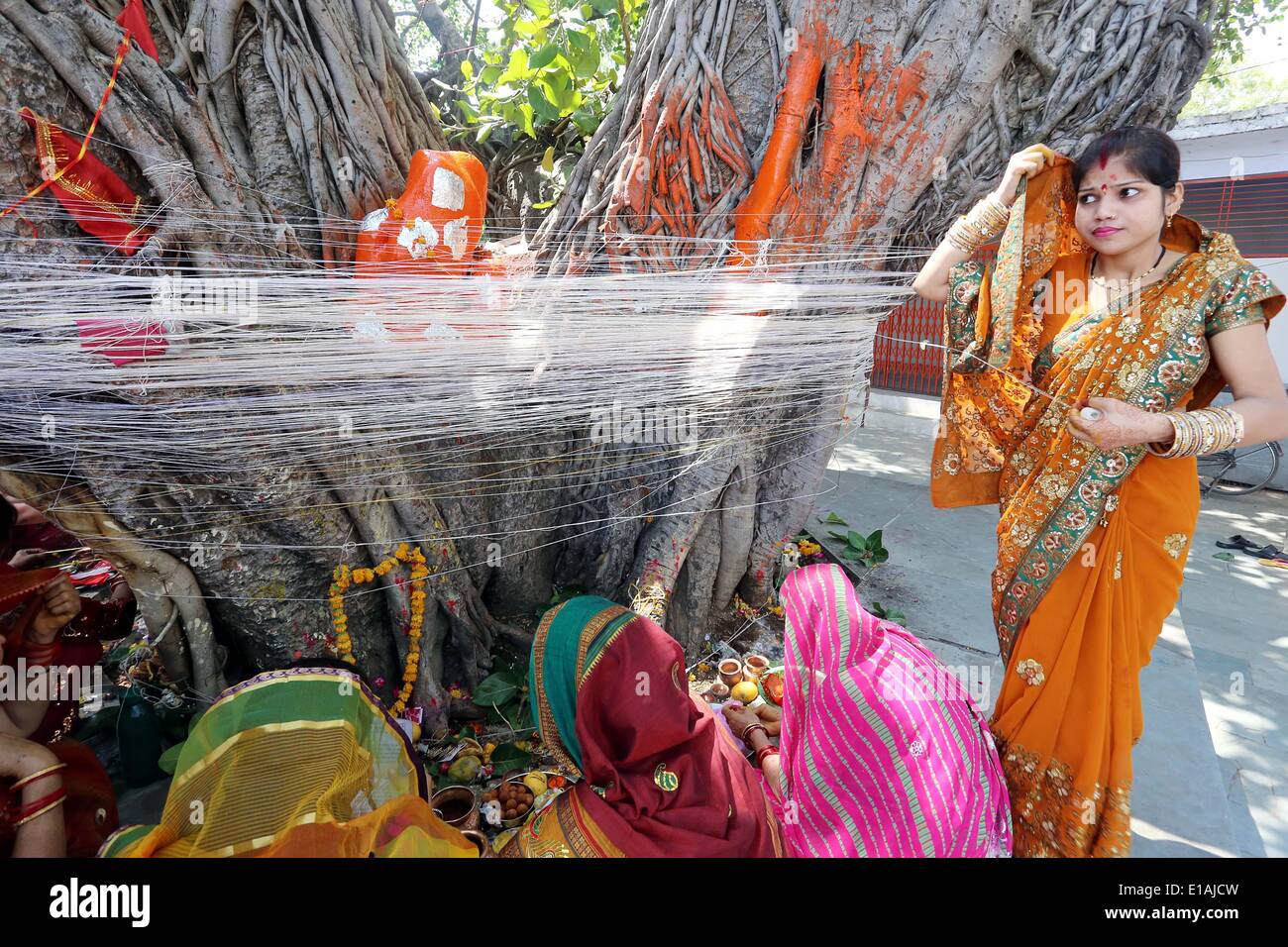 pix Bar Savitri Puja Photo https www alamy com bhopal india 28th may 2014 hindu women tie sacred thread and offer image69690121 html