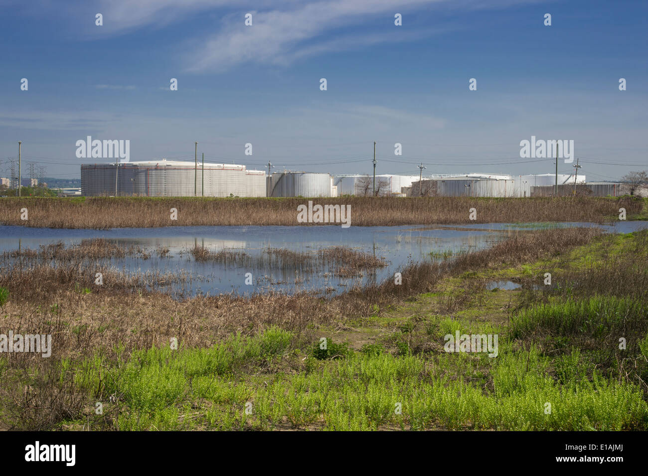 Storage Tanks With Marsh In Foreground Stock Photo