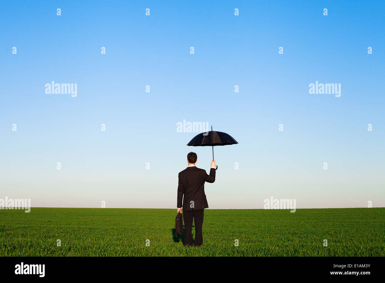 Businessman in nature hi-res stock photography and images - Alamy