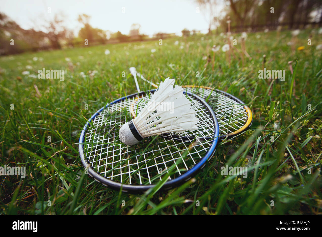 badminton Stock Photo