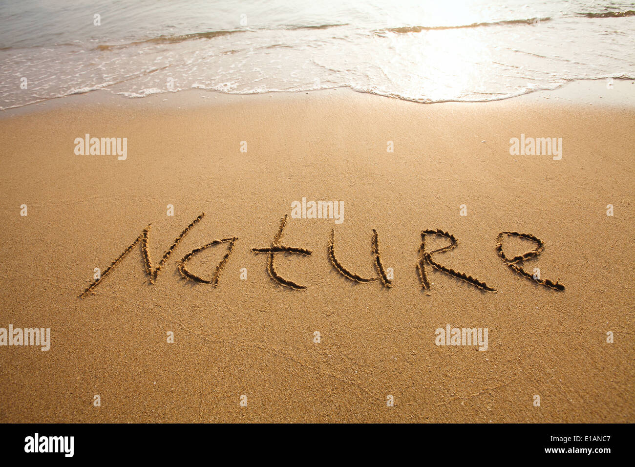 nature concept Stock Photo