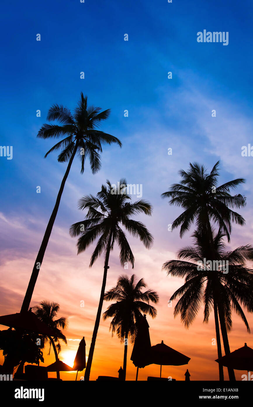 Tropical beach sunset view hi-res stock photography and images - Alamy