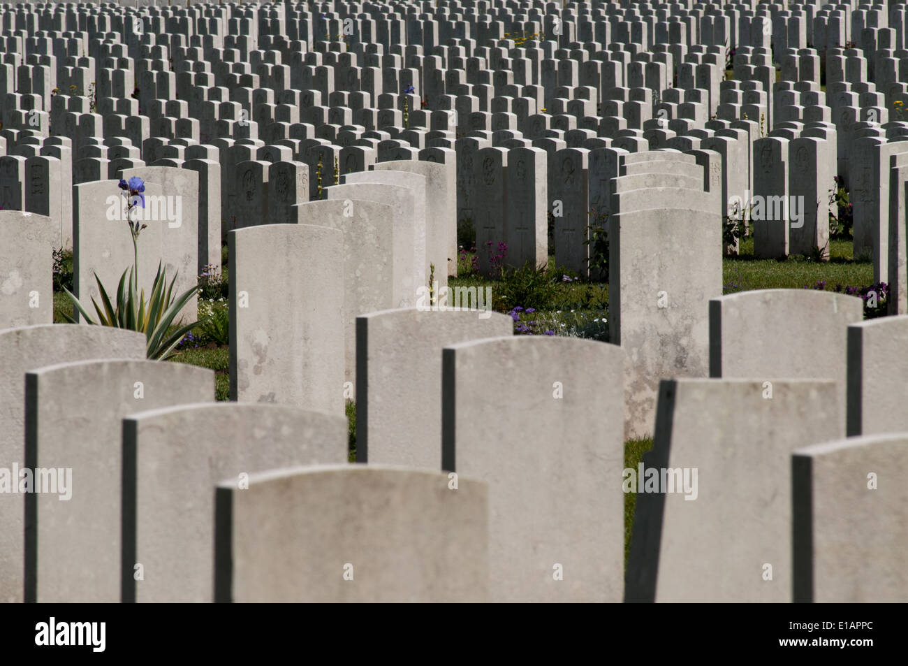 Massed ranks of headstones in Etaples Military Cemetery, largest ...