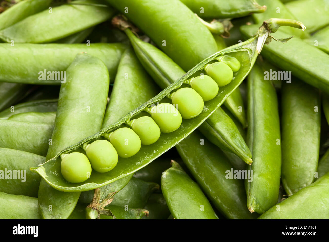 peas in a pod closeup Stock Photo