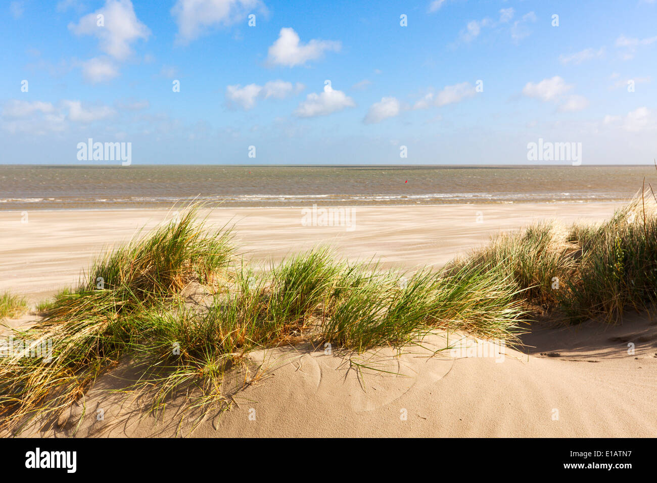 Dunes at the beach of Knokke-Heist, Belgium Stock Photo