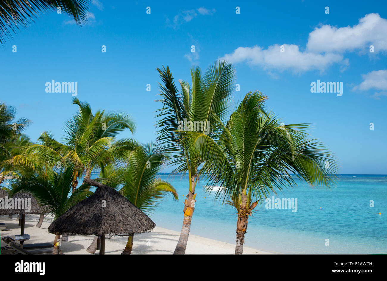 Palm trees and a white sand beach near the Lux le Morne Hotel, on the Le Morne Brabant Peninsula Mauritius, The Indian Ocean Stock Photo
