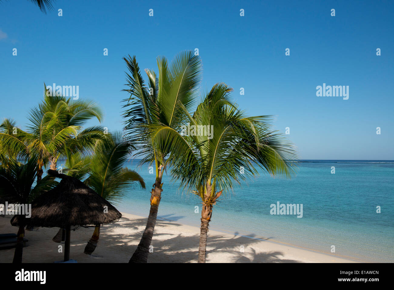 Palm trees and a white sand beach near the Lux le Morne Hotel, on the Le Morne Brabant Peninsula Mauritius, The Indian Ocean Stock Photo