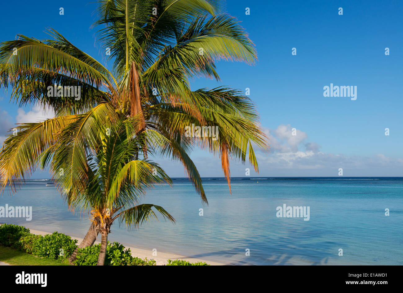 Palm trees and a white sand beach near the Lux le Morne Hotel, on the Le Morne Peninsula Mauritius, The Indian Ocean Stock Photo