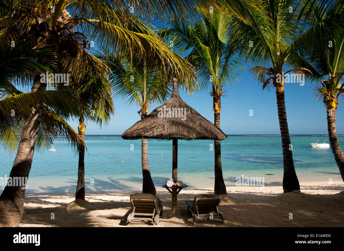 Palm trees and a white sand beach near the Lux le Morne Hotel, on Le Morne Brabant Peninsula Mauritius, The Indian Ocean Stock Photo