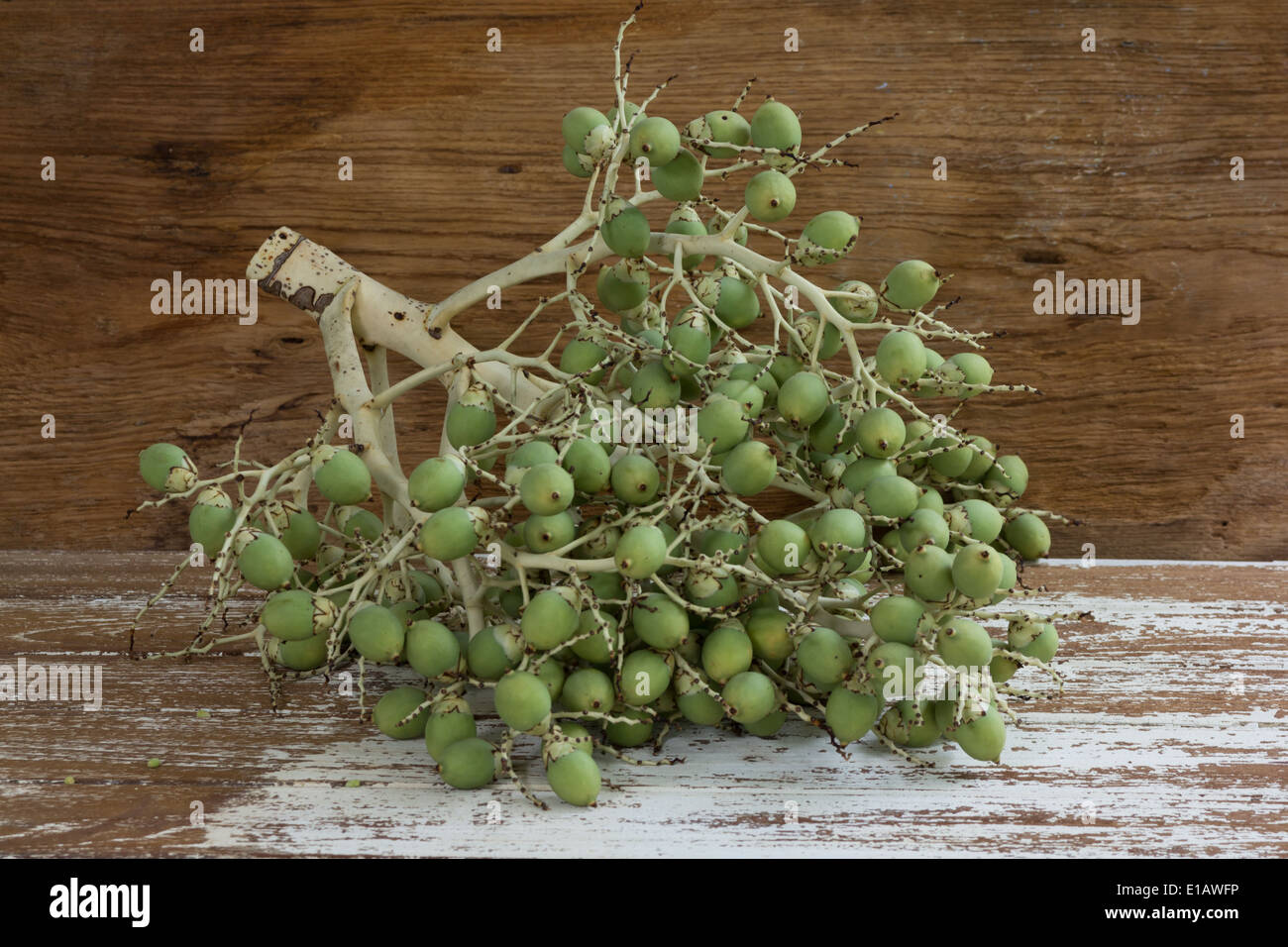 betel nut on wood background Stock Photo