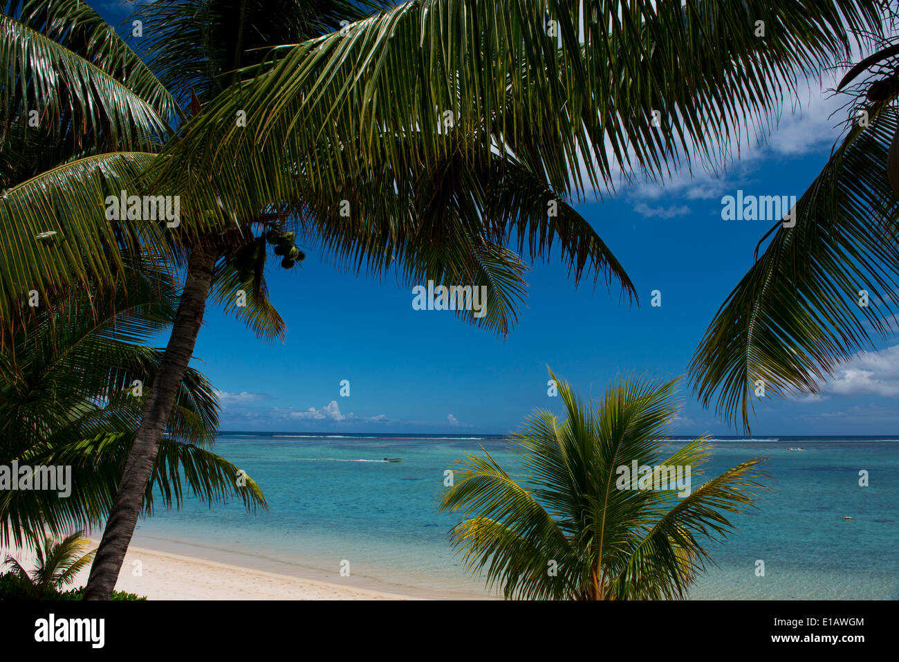 Palm trees and a white sand beach near the Lux Le Morne Hotel, on Le Morne Peninsula Mauritius, The Indian Ocean Stock Photo