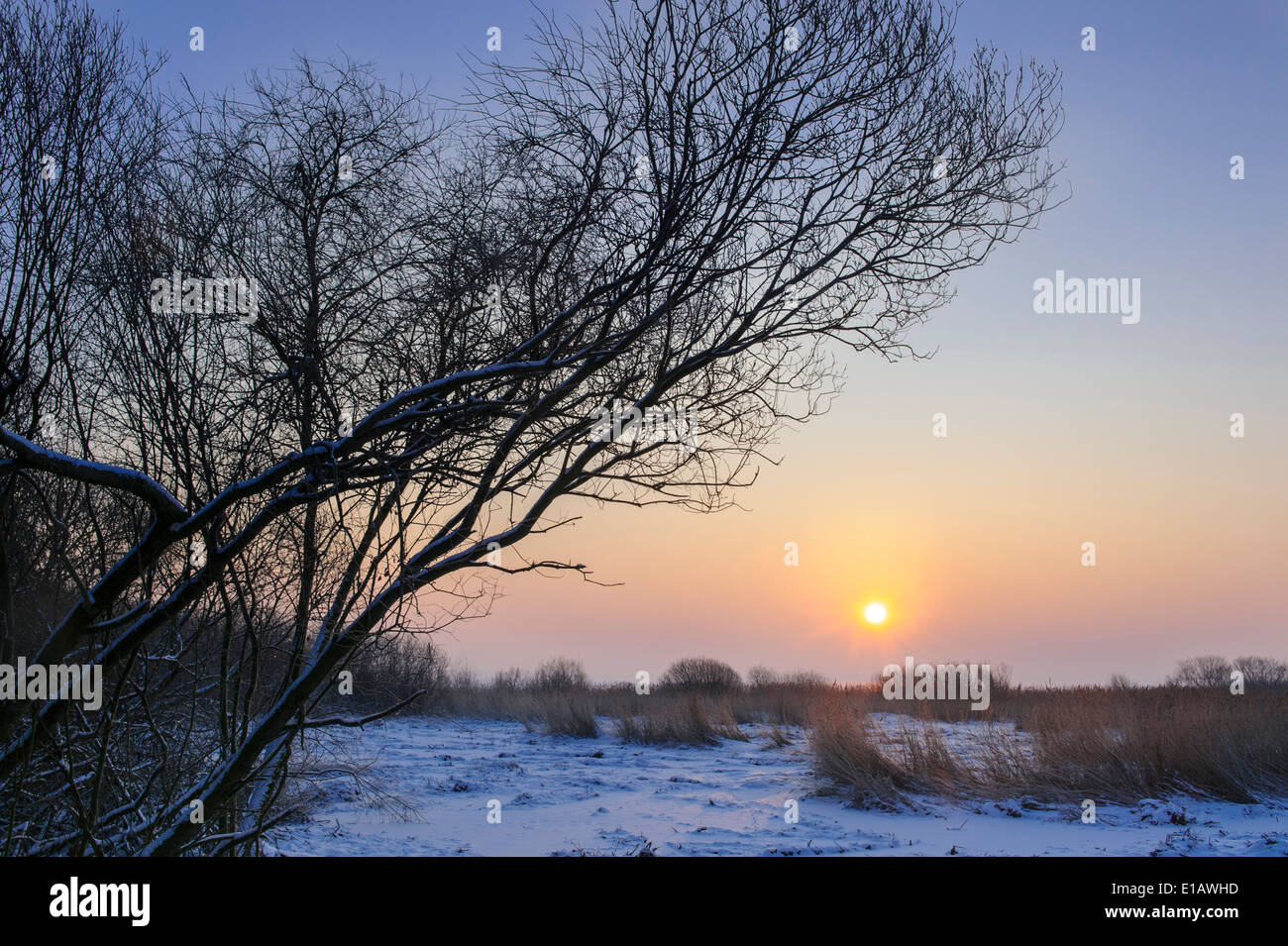 winter evening over lake dümmer, dümmerlohhausen, district diepholz, niedersachsen, germany Stock Photo